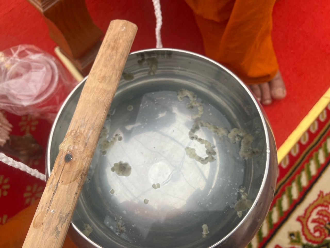 “市长杰德” 中了100张彩票，善信“龙普诗拉”揭示浴水法会的号码