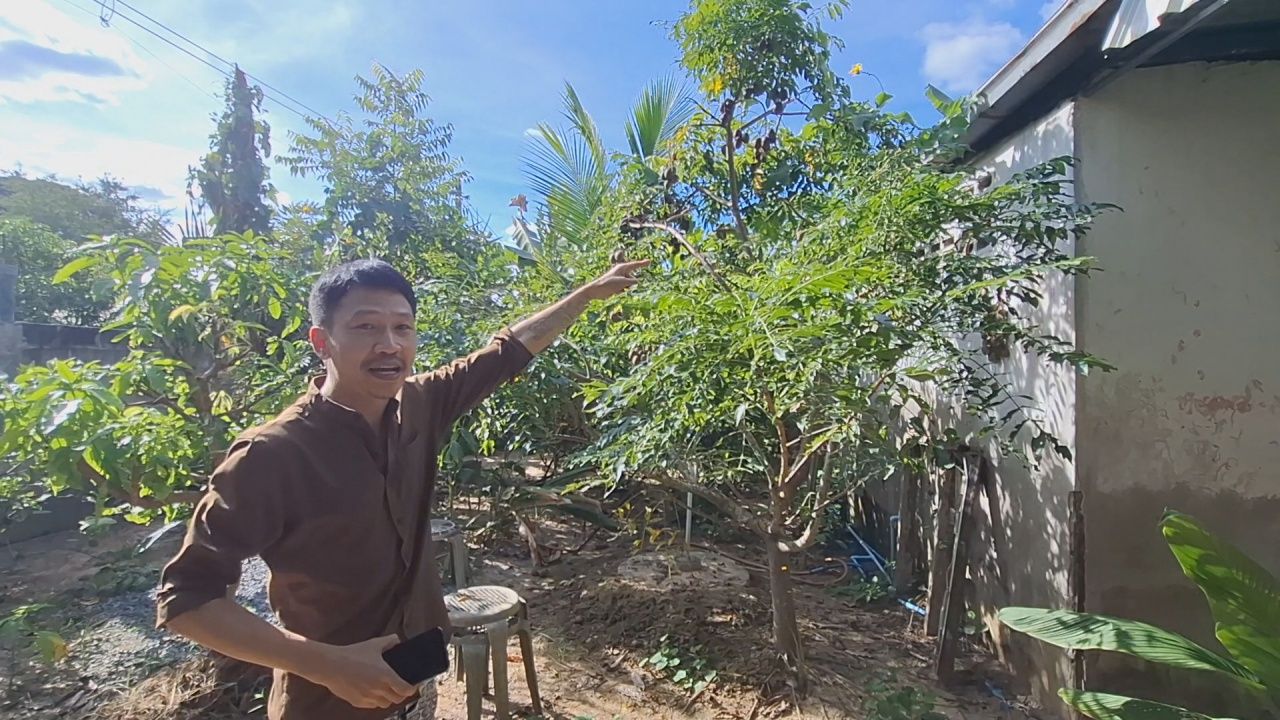 男子惊恐,浴室发现眼镜王蛇张开颈罩,认为会再带来好运
