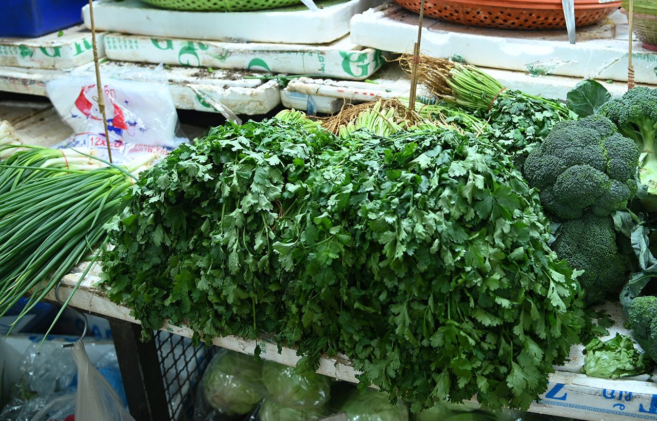 香菜价格飙升至每公斤250 泰国内贸部加紧稳定价格 调拨其他来源的产量替代