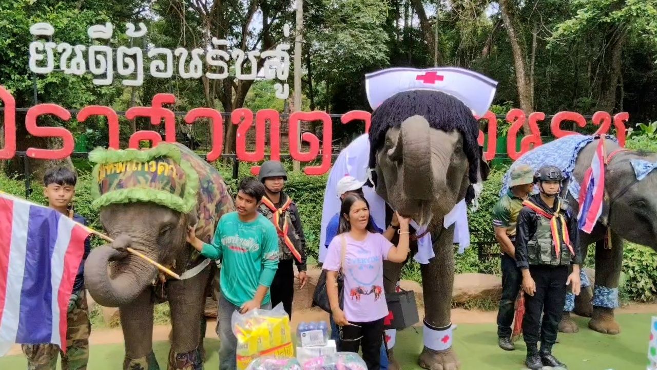 热闹：游客蜂拥游览塔美恩通寺庙，穿着军装的大象鼓励工作人员