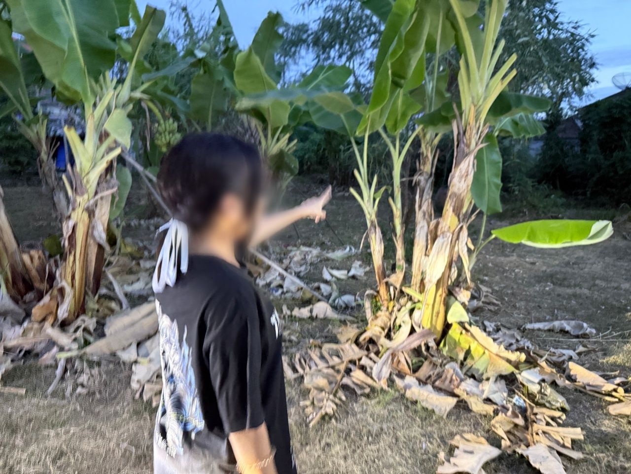 追捕假警冒充者诱骗14岁女孩进树林 幸运逃生