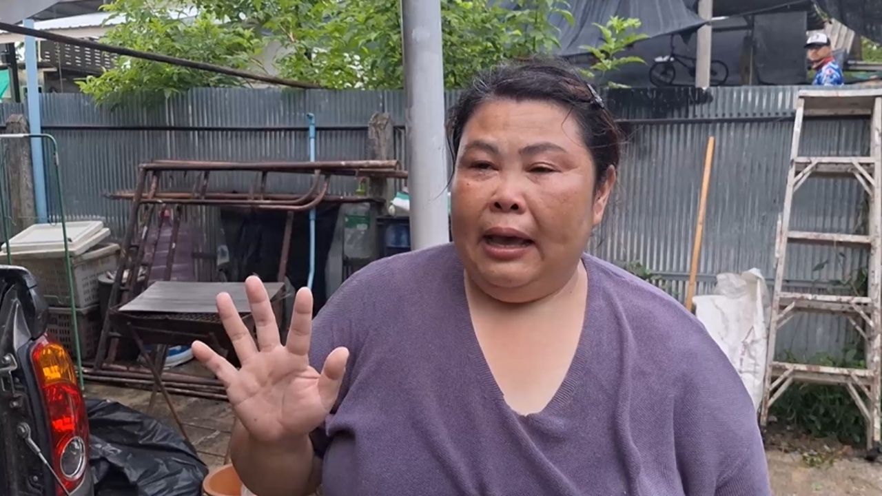 主人心碎 8 只狗被毒死 刚出生的小狗也被毒害 1 死 2 重伤