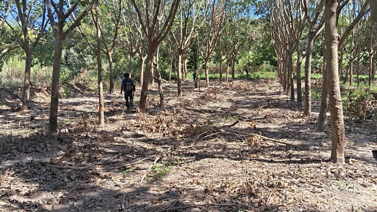 EOD 加速清除泰国-柬埔寨边境的爆炸物，已发现158颗，准备销毁5颗未爆炸