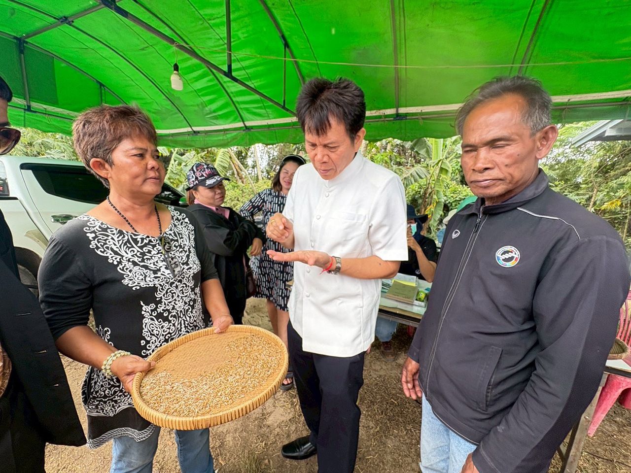 稻米市场活跃 怀柔米价格大幅上涨至每吨16,000泰铢 在粮食局采用直接吸收措施后
