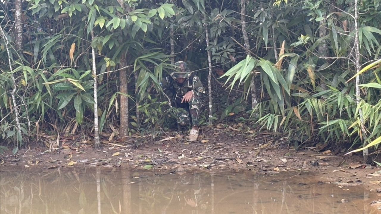 通知游客注意“老虎”在山顶出现,已发现其在路上漫游