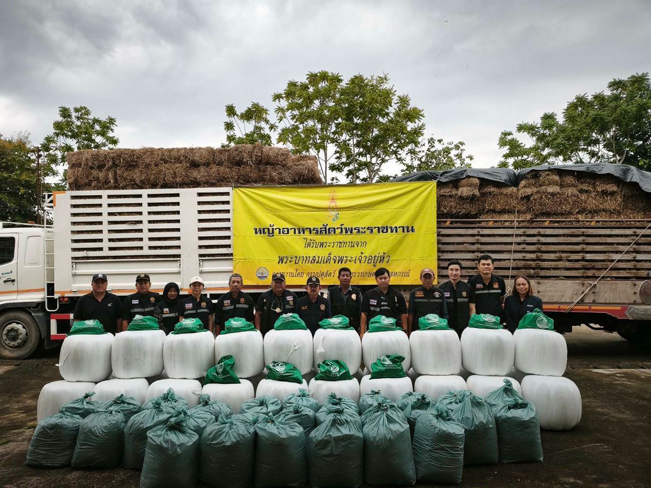 畜牧局恢复南部9府农民，补贴损失，分发皇家赠送的牧草