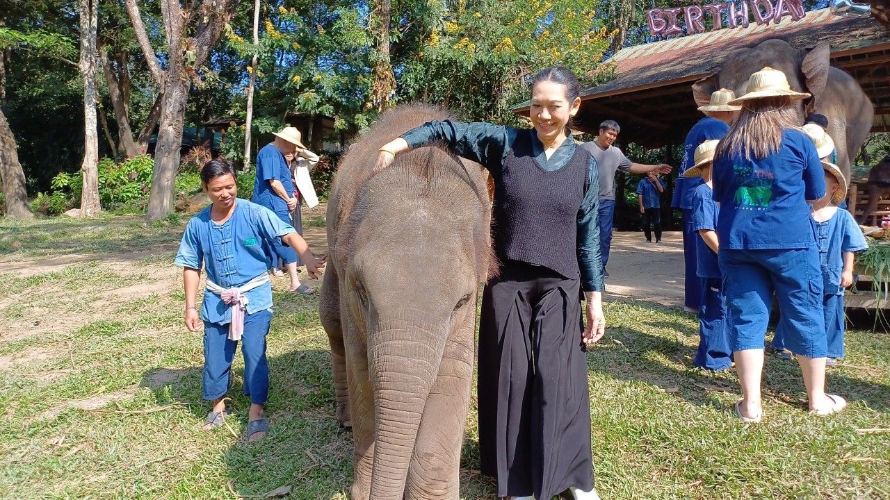 温暖的玛莎象营为养父周察及“宝宝舒”新宠象庆生活动