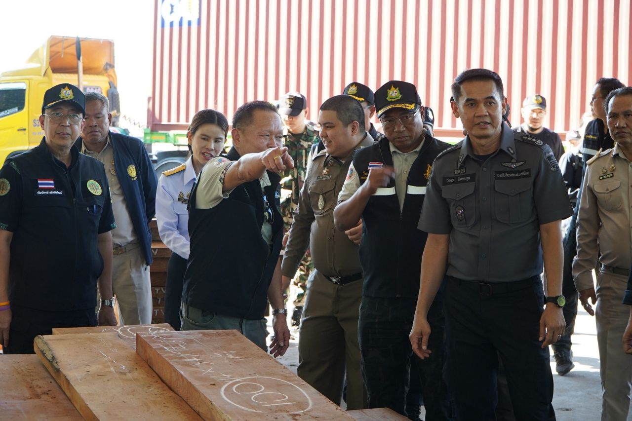 查获非法木材 从中国商人仓库中查获价值三亿 准备出口国外