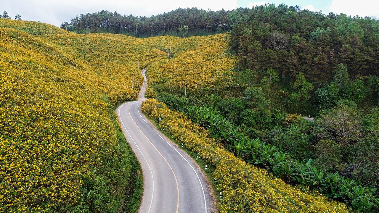 探索浪漫路线,驾车迎寒风,游览湄宏顺巨型野花田
