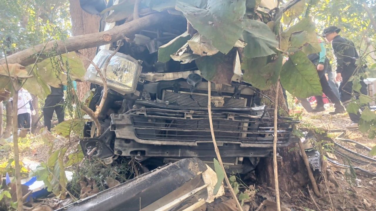 7人受伤 “旅游巴士”失控撞上树 在清迈-普劳街道