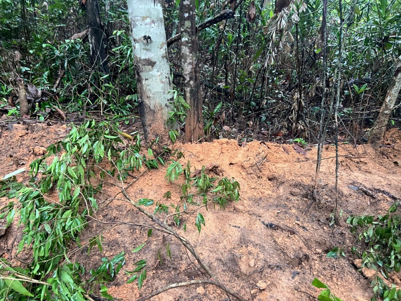“普米塔姆” 确认泰国-柬埔寨撤兵，感谢双方坚持和平原则