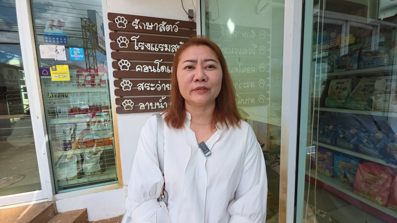 呼吁人们帮助“流浪狗”被渔叉射穿背部，目前情况已安全