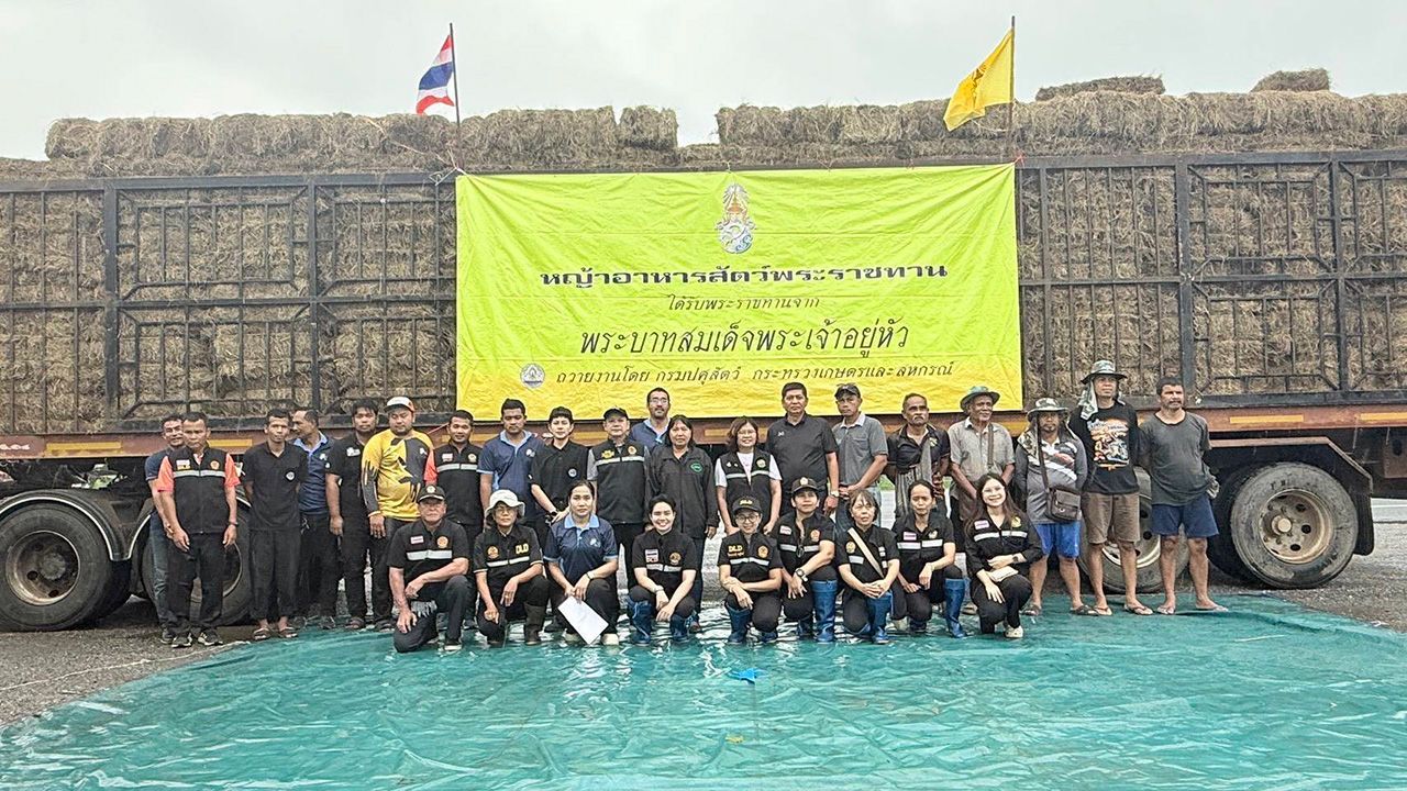 畜牧局恢复南部9府农民，补贴损失，分发皇家赠送的牧草