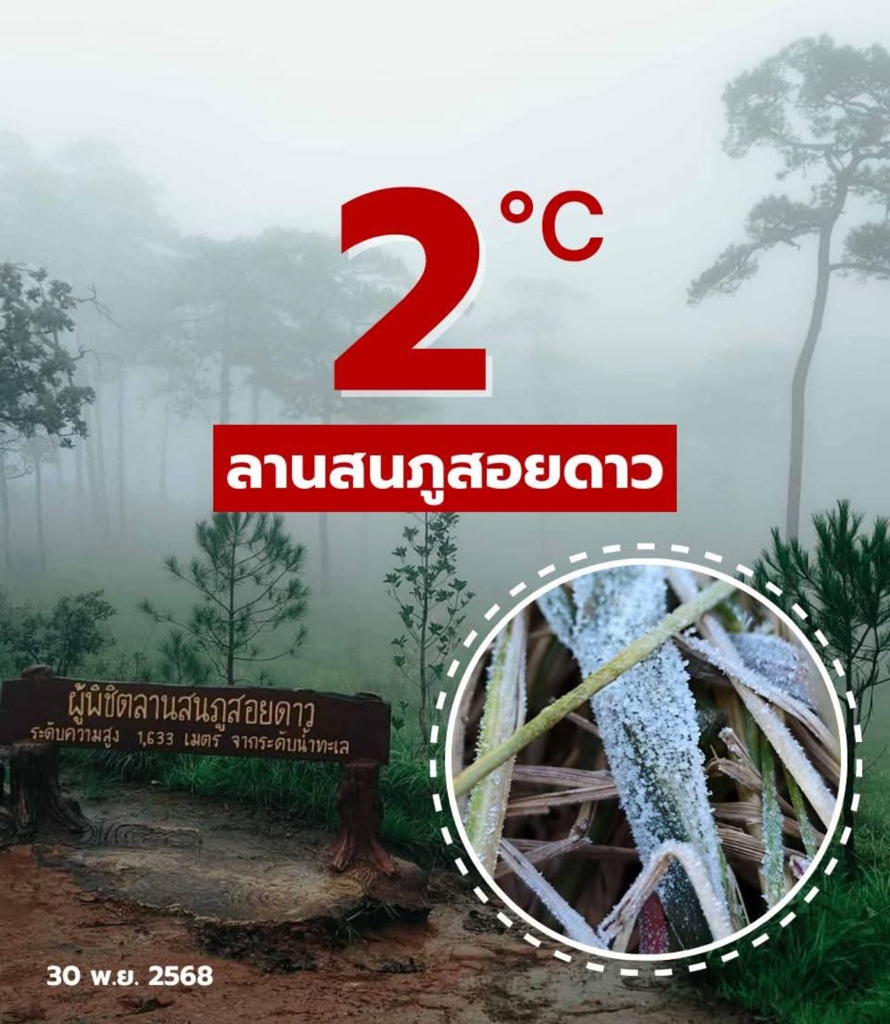 极度寒冷的普索伊道松林，最低气温降至2度，告别11月