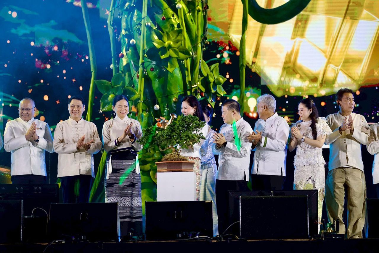 邀请您打卡攀牙，参与湖滨盛大倒计时活动，欣赏28-31日的绚丽花灯展