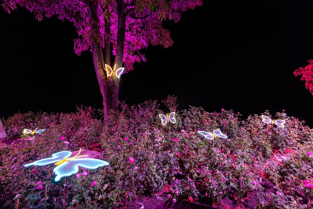 邀请您打卡攀牙，参与湖滨盛大倒计时活动，欣赏28-31日的绚丽花灯展