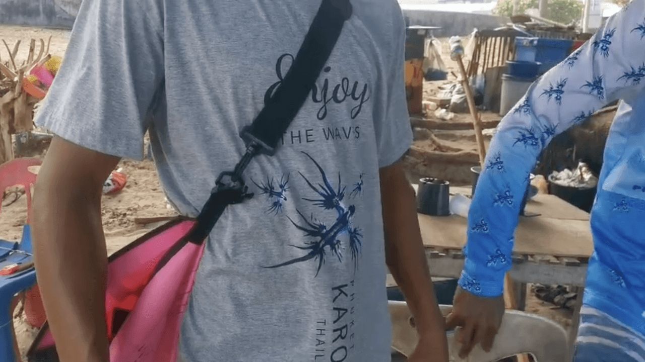 展示“蓝龙”Blue Dragon的小小身影后，在普吉府海滩被发现
