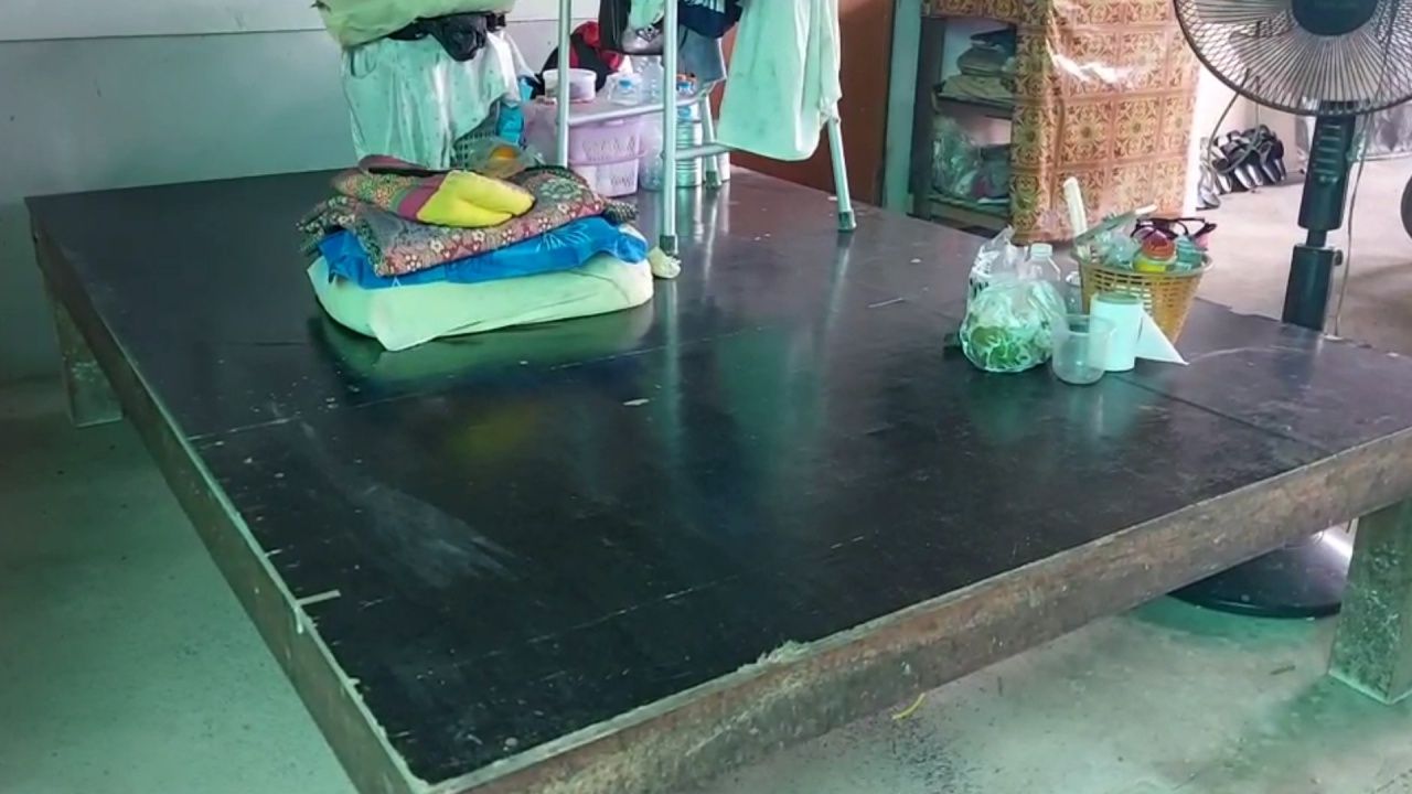 孙子讲述93岁奶奶被蛇咬求助时的情景
