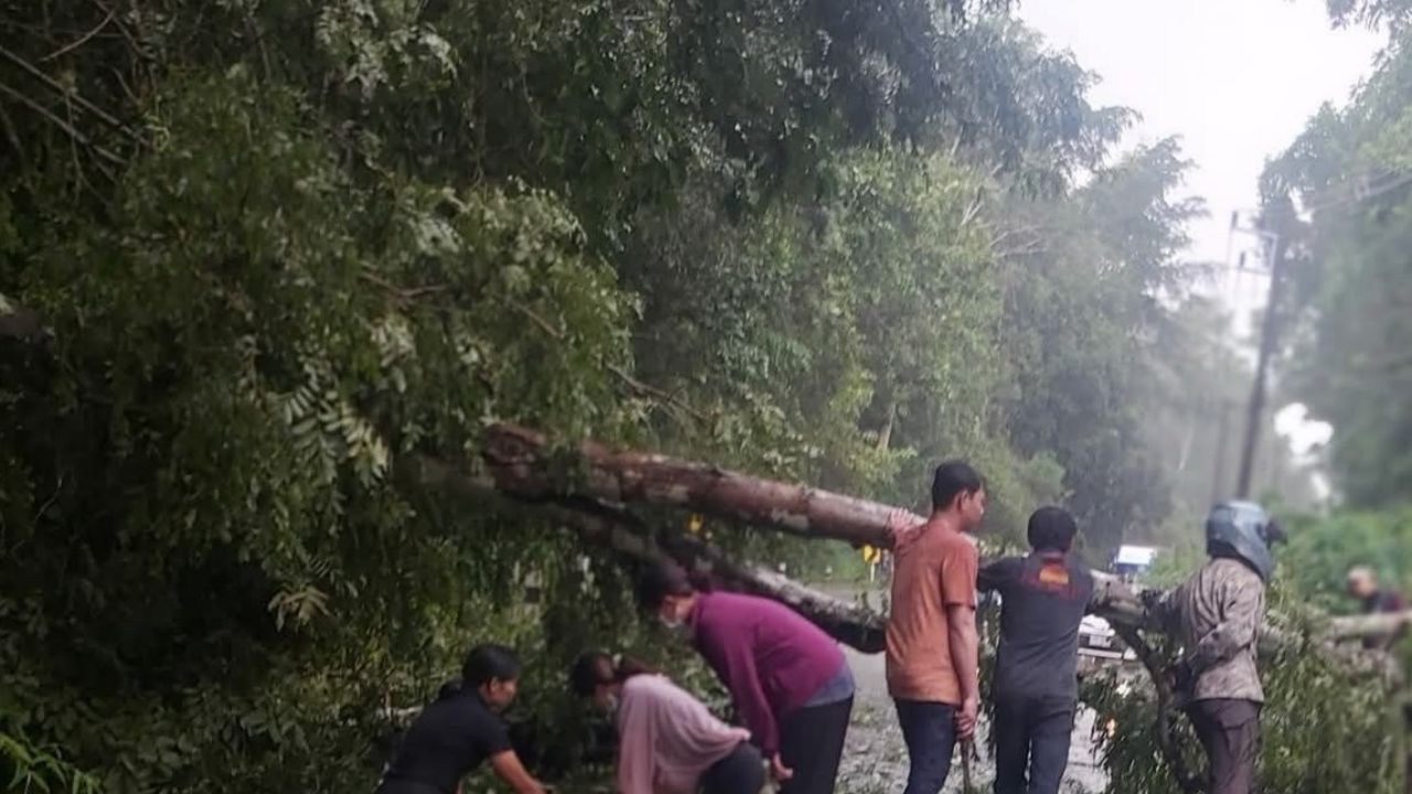 “警员” 悲剧遇难，骑摩托车冒雨回家被大树压死