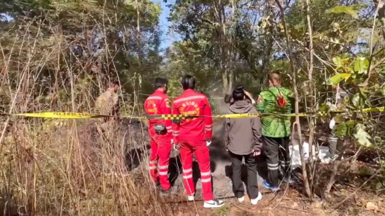 神秘尸体被杀后焚烧于森林中 发现腿部钢板和名牌手表