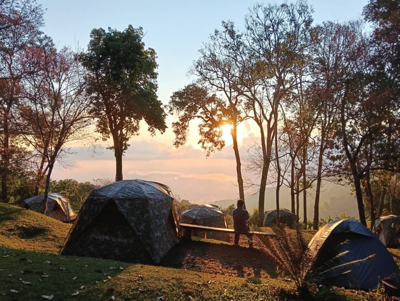 清迈热闹异常,今天早上因他暖山顶温度4度,再次出现“霜冻”