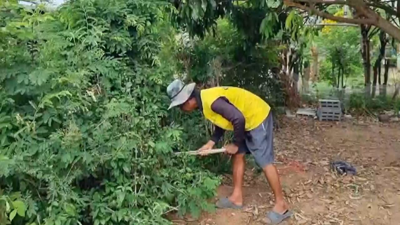 母亲分享教训，7岁孩子玩捉迷藏在灌木丛中，最后被毒蛇咬伤手