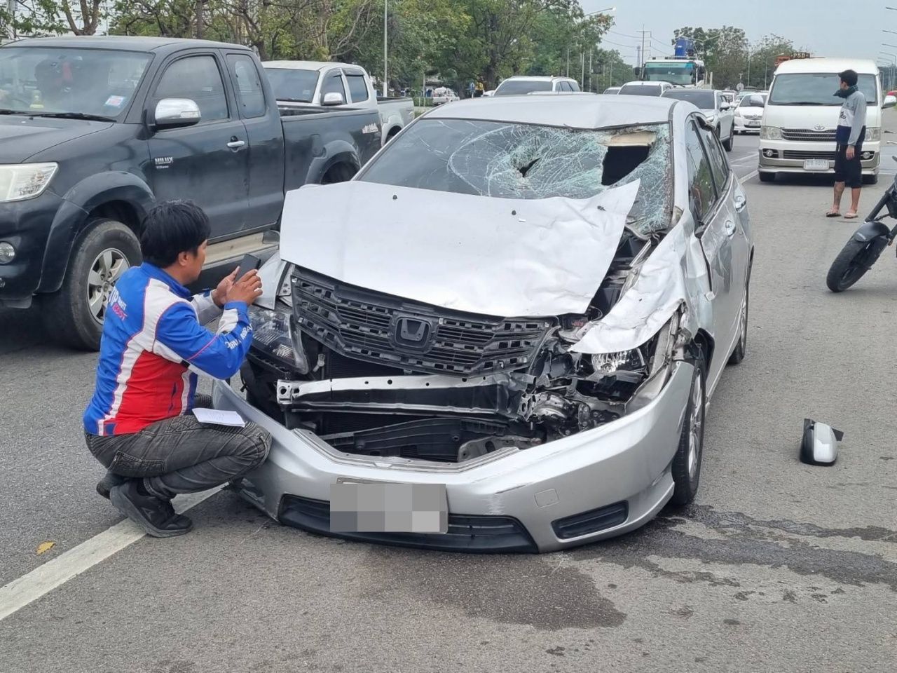 马跑到轿车前刹不住 撞死2匹 伤3匹 车损坏