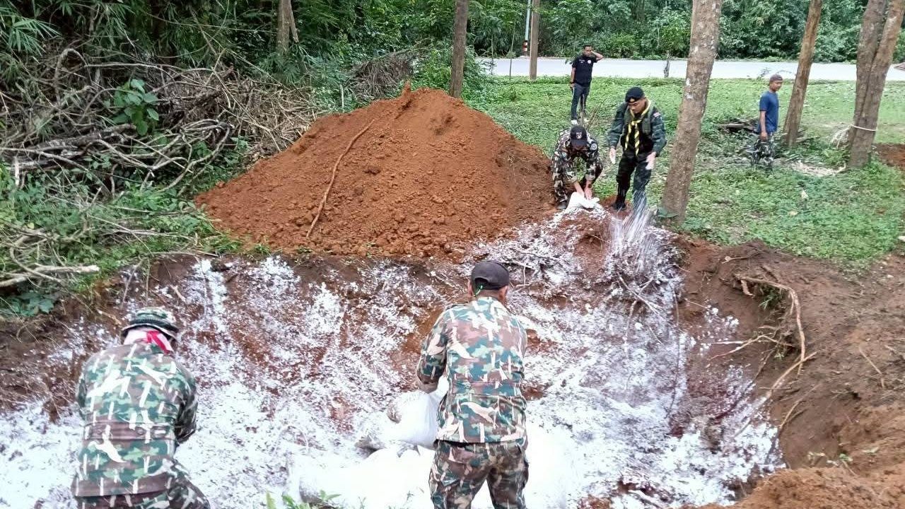 “凯岩国家公园的大象”被怀疑被电线电击身亡