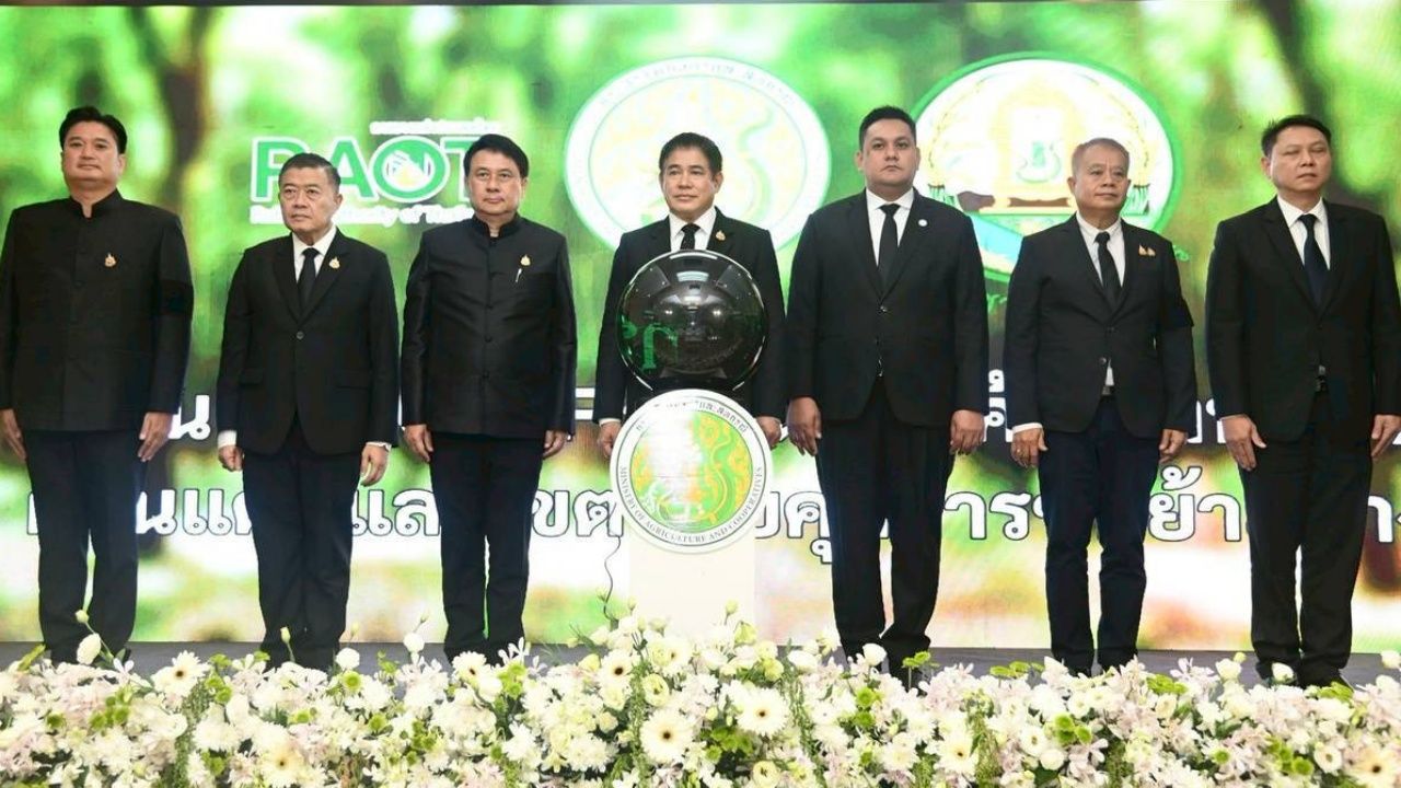 “他蒙纳斯”启动加强控制“跨境橡胶-指定橡胶控制区” 试点两省，拉廊 - 达克