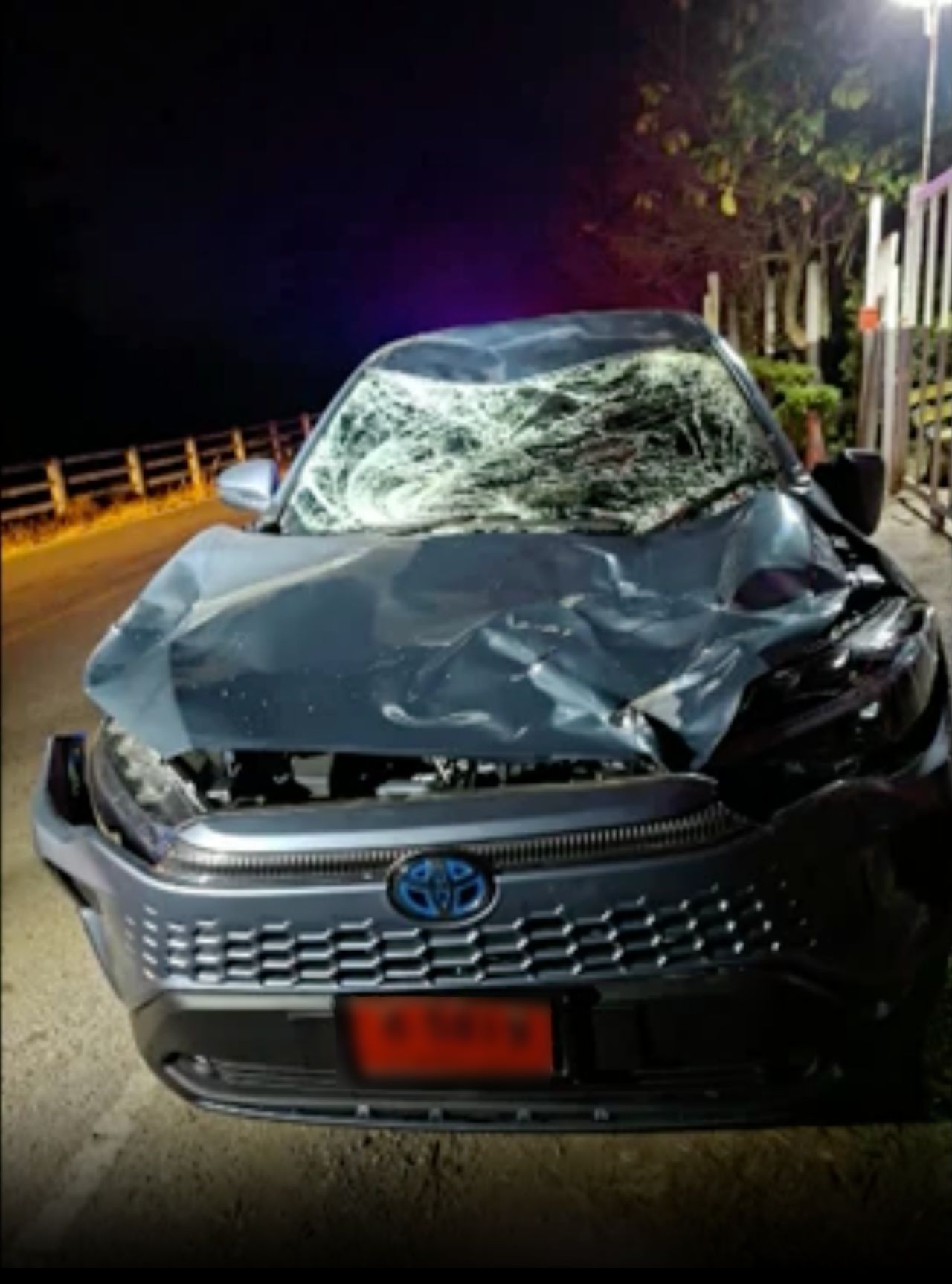 红色牌照小车撞上大象，司机回忆事发一刻