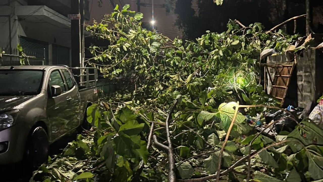 暴雨袭击曼谷，树木倒伏堵路，房屋受损，停电，多地交通瘫痪