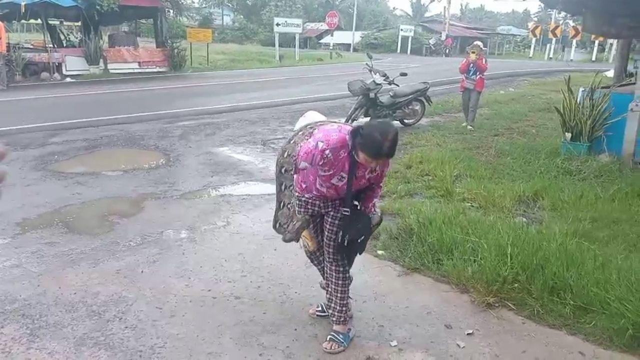 女子徒手抓住3米巨蟒，仅视为小事一桩
