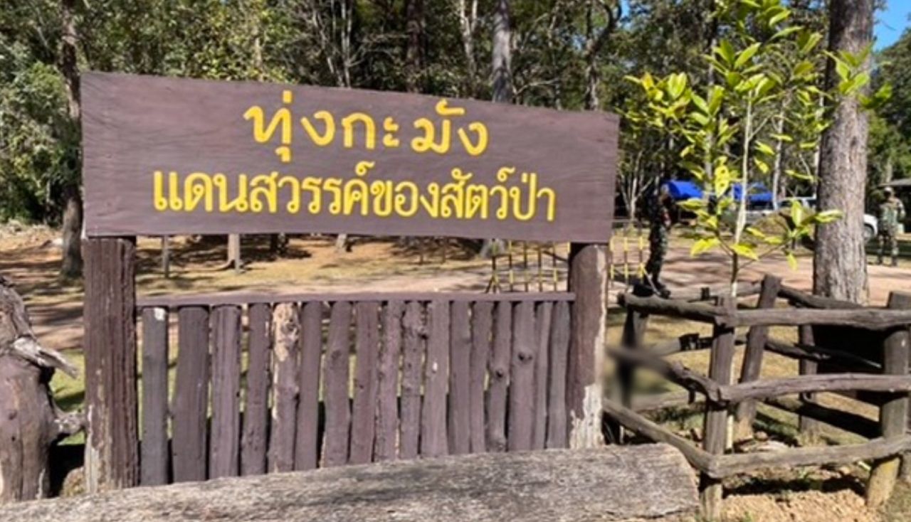 保安官在深山巡逻时被“野牛”严重刺伤