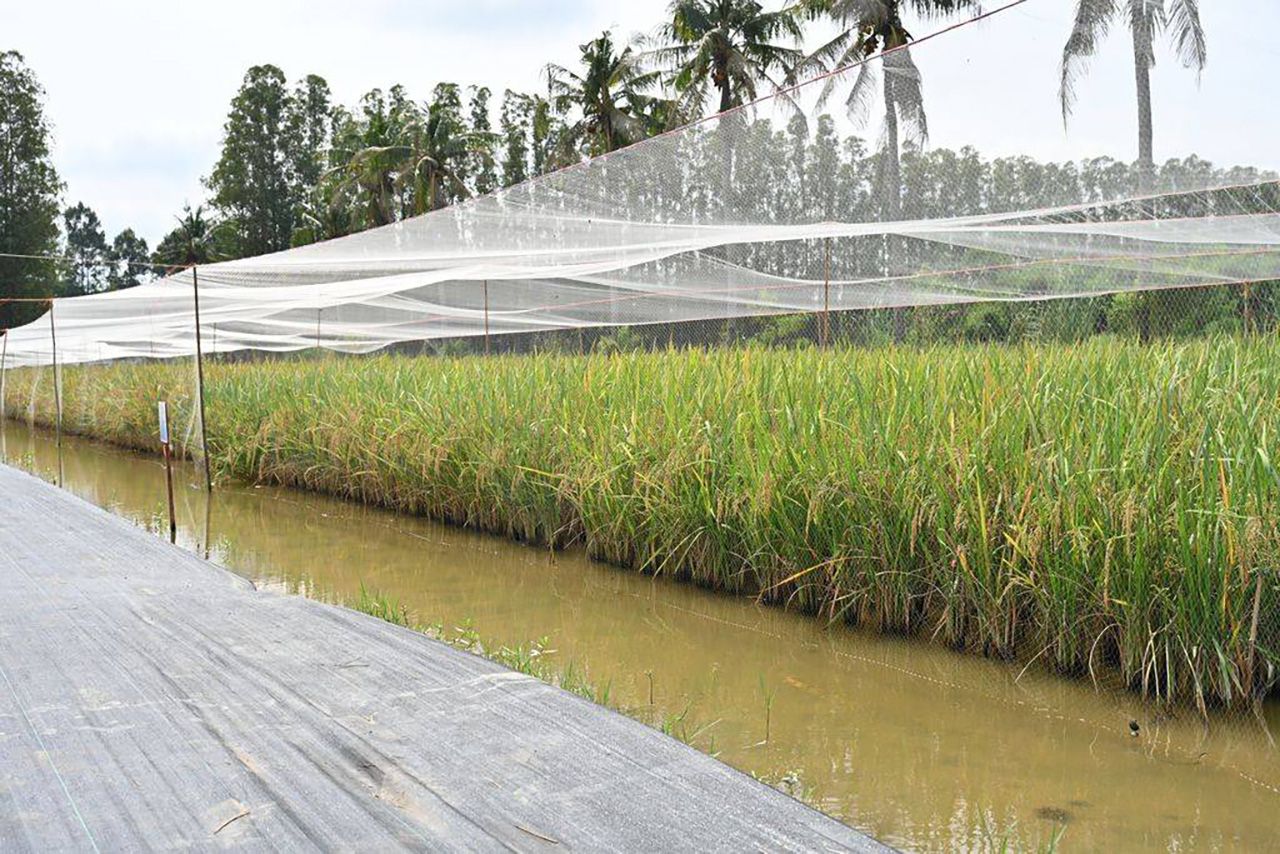 อว.-สวทช. ยืนยัน 