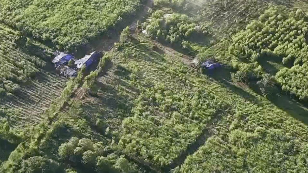 上午宁静的芒旺站和芒鞠草房，尚未出现群众聚集信号
