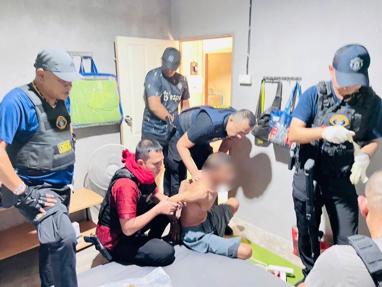逮捕雇凶杀害“伊潘村组织成员”的主谋，为报复侄女之仇