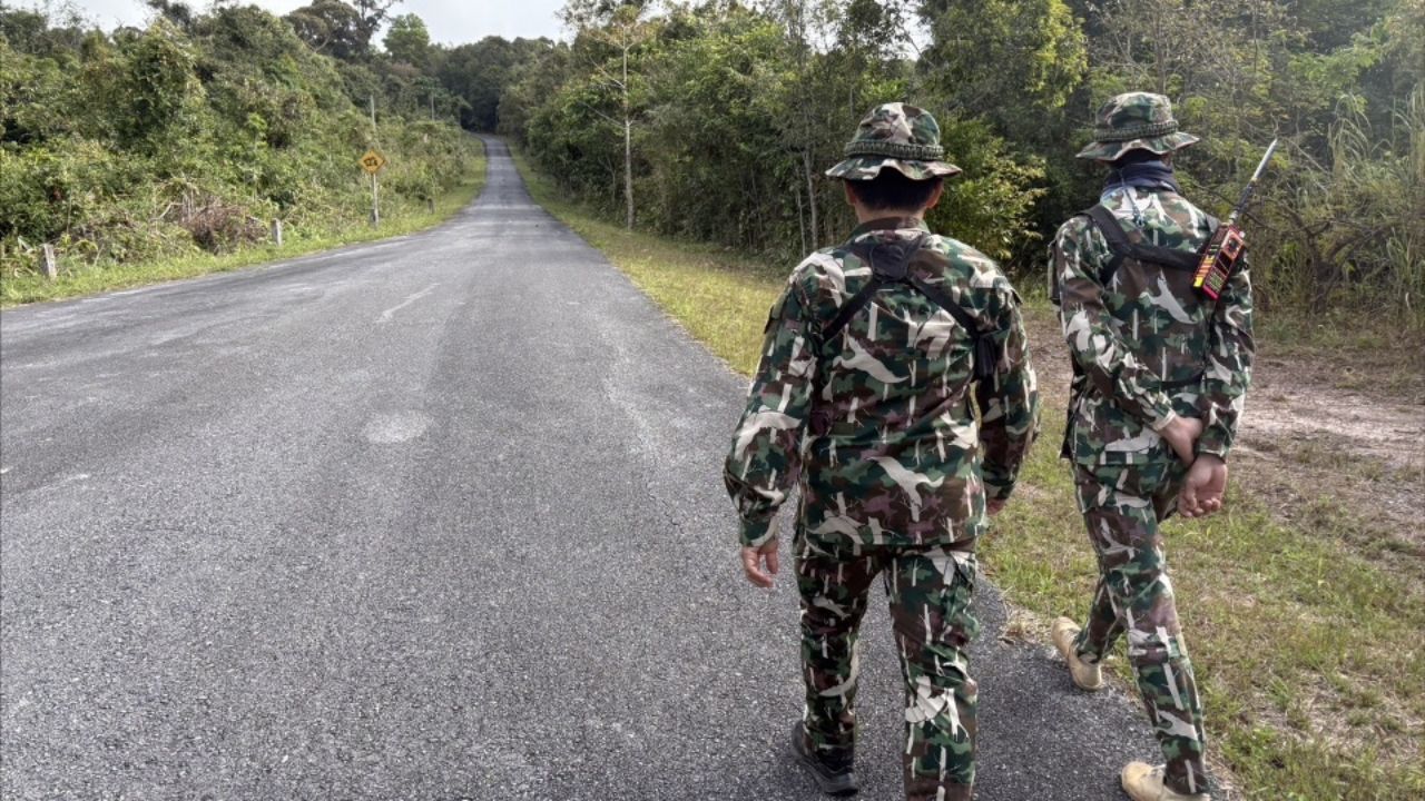 通知游客注意“老虎”在山顶出现,已发现其在路上漫游