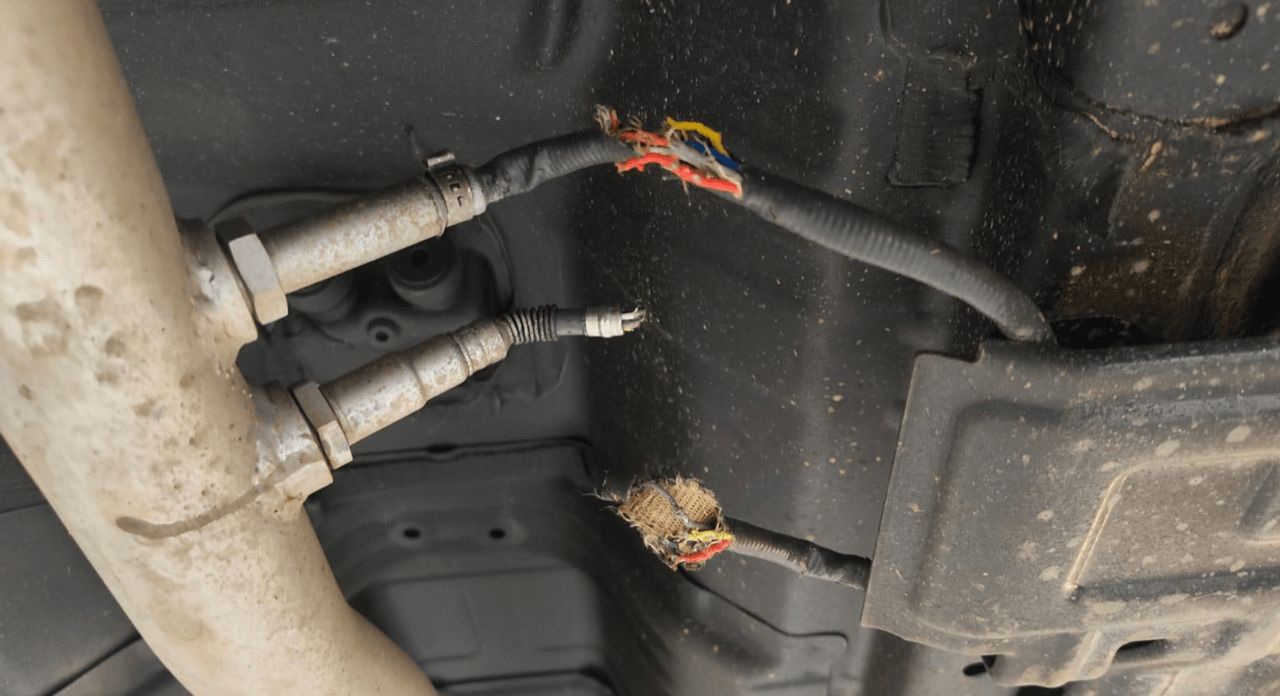 啮齿动物破坏汽车电线的解决方案