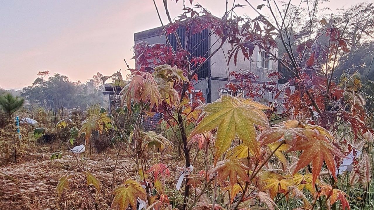 寒流袭击，曼谷-周边地区最低温17度
