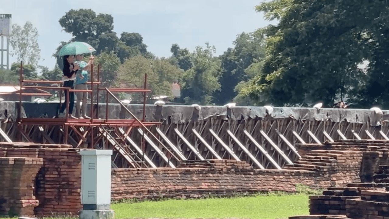 增强钢板 增加围挡高度 保护柴瓦塔纳兰寺古迹免受洪水侵袭