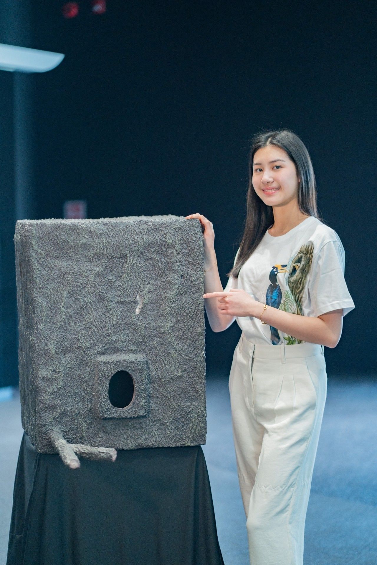 汽车赛场：TOAVH举办慈善跑筹集资金为犀鸟建造假巢