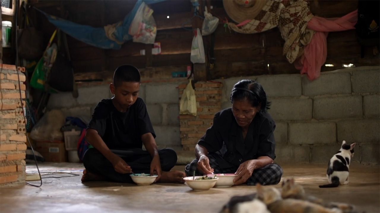 11岁农业少年“小纳特”，独自养祖母，只期待能再见到父母