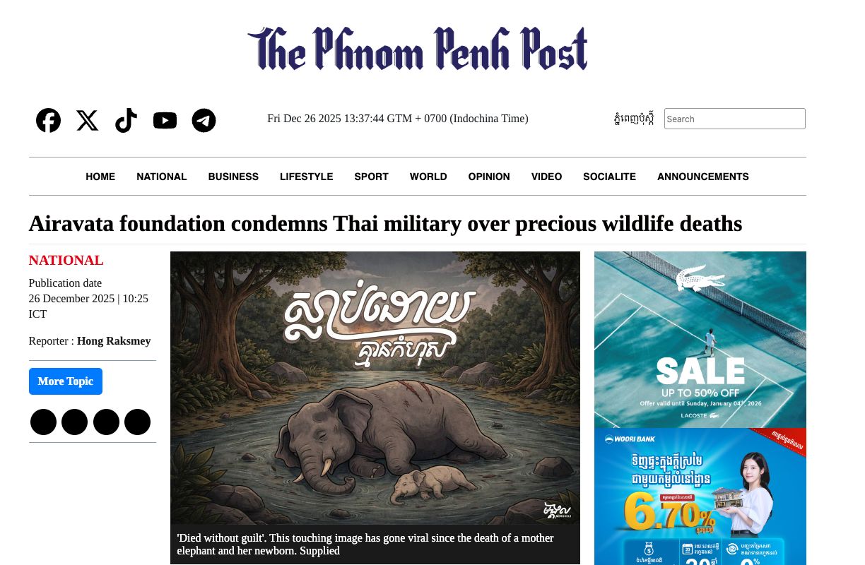 柬埔寨将泰国与大象保护基金会惊人关联，谴责军事行动导致野生动物死亡