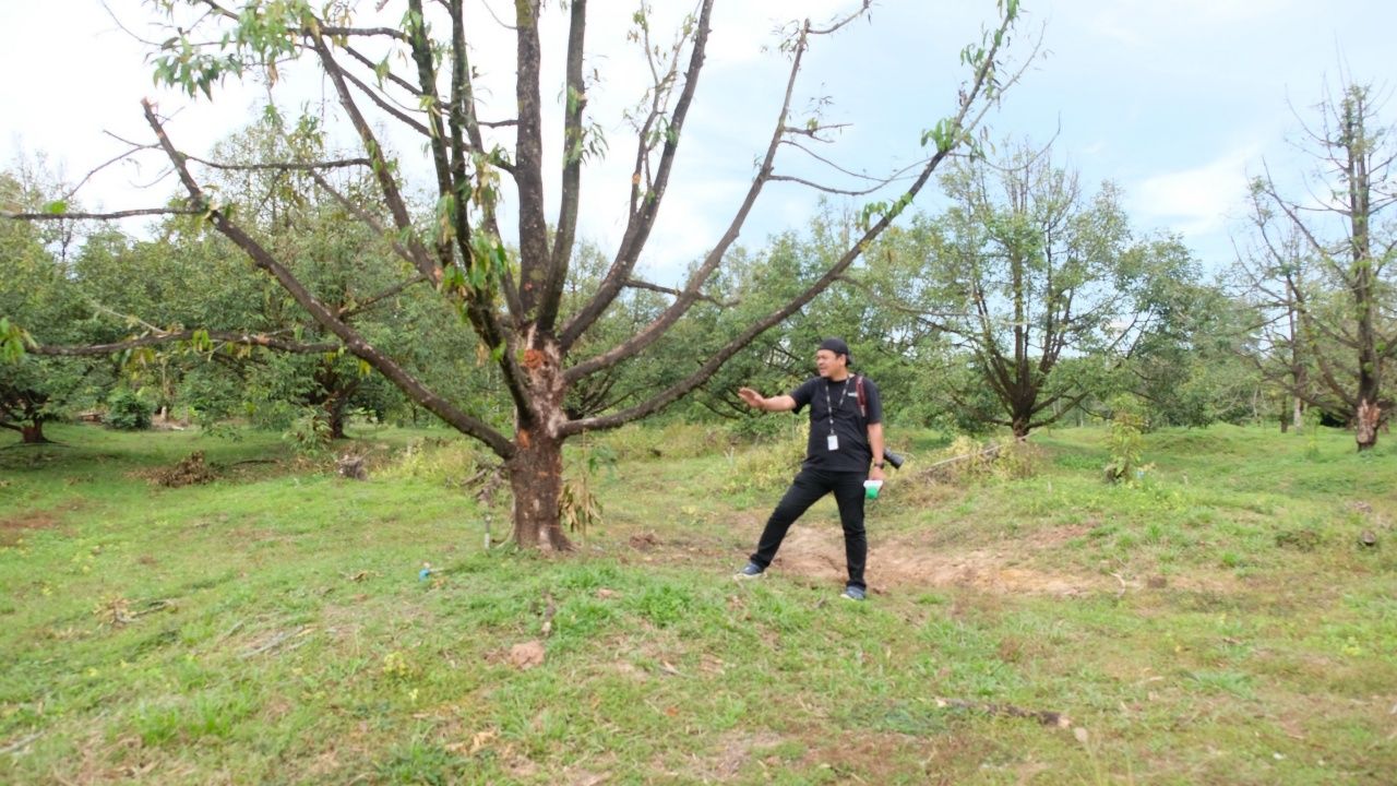 EOD小组在达叻边境冲突中调查13个炸弹坑