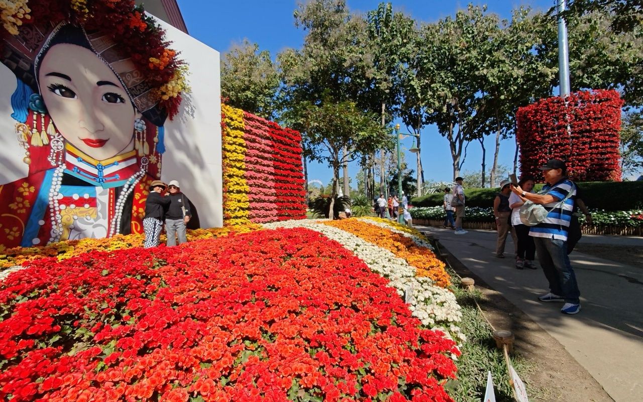 游览清迈,观赏超过三万多朵多色郁金香花田于清迈魅力之城活动