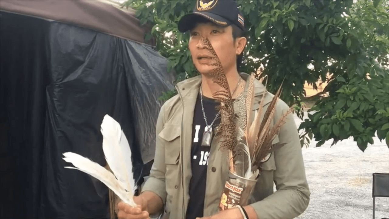 全面捕获清迈省的“黑天鹅” 受到烟花声惊吓后飞走