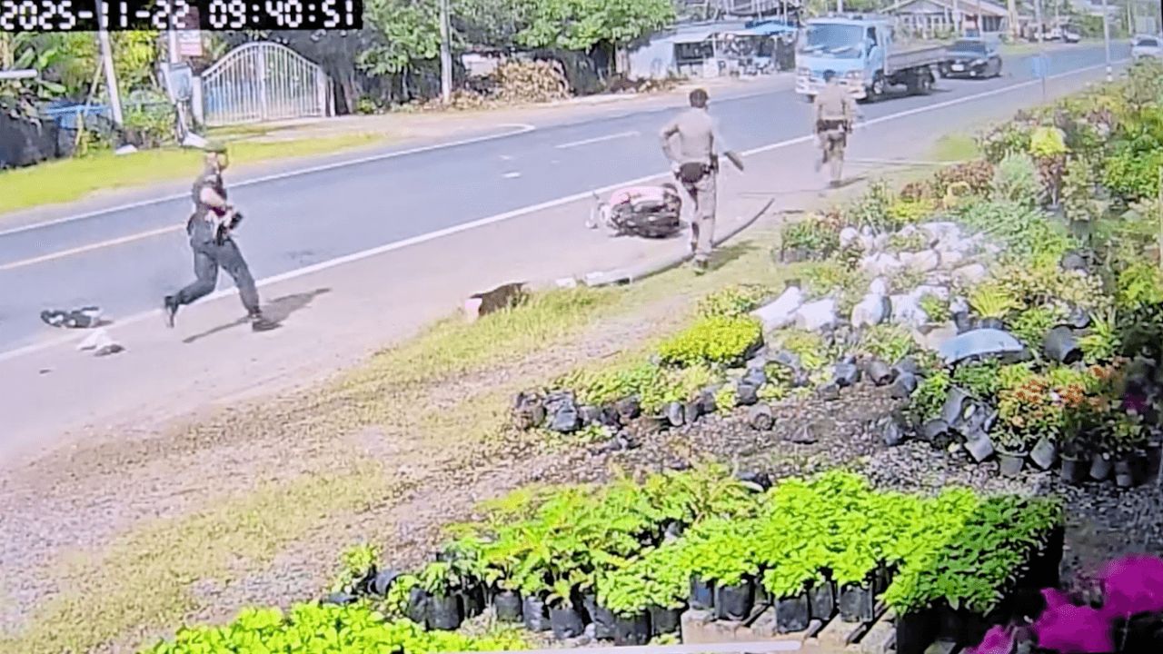 18岁少年前科学金牌得主盗皮卡逃亡 撞死母子1人重伤1人