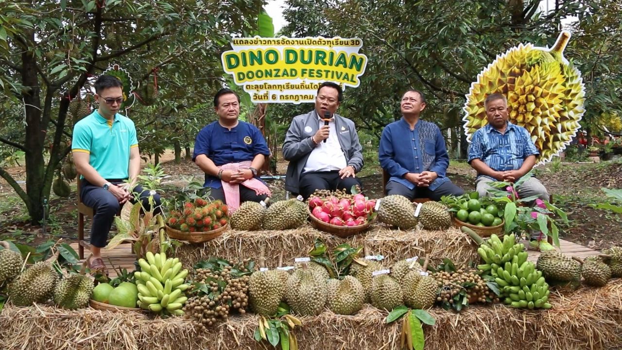 探索3D榴莲园“DINO DURIAN DOONZAD FESTIVAL” 力求成为GI产品
