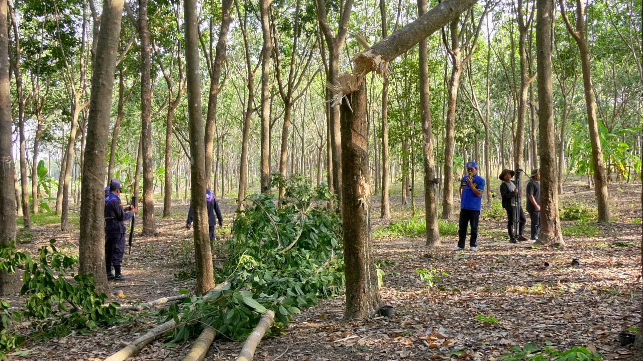 在签署停火协议后，官员调查损失情况，发现 BM-21 火箭弹散落全村