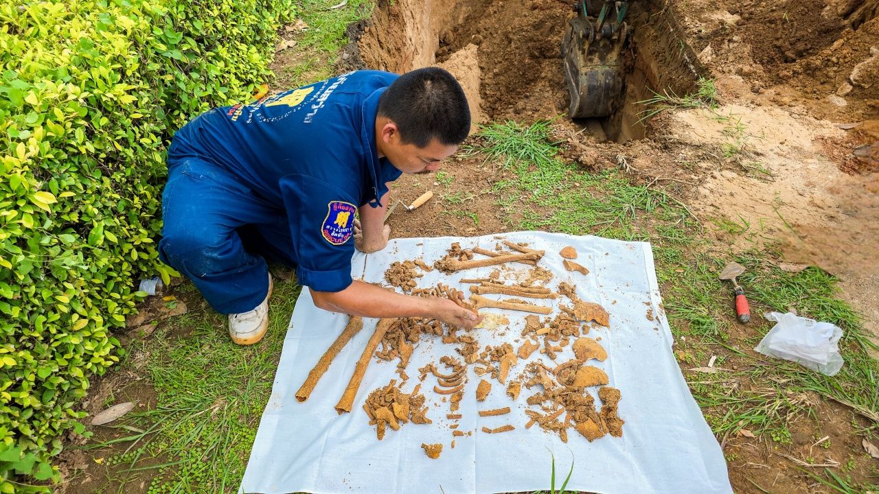 村民震惊：在海军基地医院前挖掘出数百具古代人类骨骼
